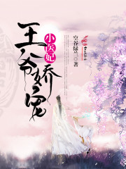 王爷娇宠小医妃章节列表