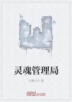 灵魂管理局章节列表