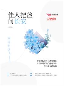 佳人把盏问长安章节列表