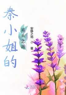 秦小姐的追夫之路章节列表