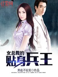 女总裁的贴身兵王章节列表