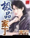 极品家丁