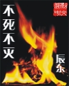 不死不灭章节列表