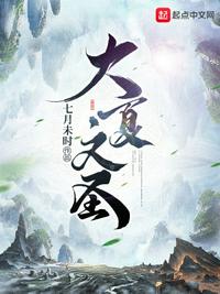 大夏文圣章节列表