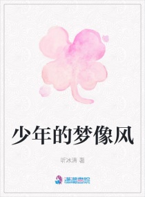 少年的梦像风章节列表
