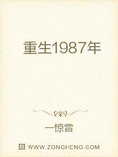 重生1987