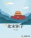 北宋钜子章节列表