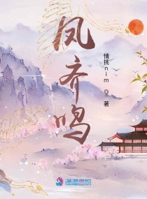 凤齐鸣章节列表