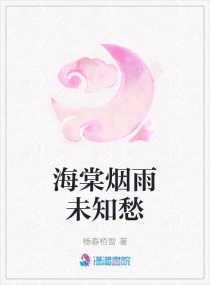 海棠烟雨未知愁章节列表