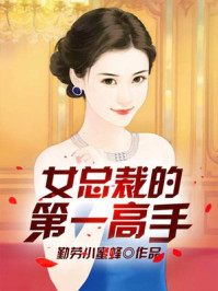 女总裁的第一高手章节列表
