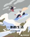 一条的生活