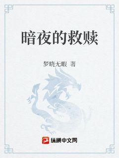暗夜的救赎