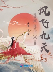穿越绝世公主：凤飞九天