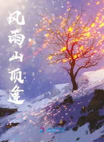 风雨山顶逢