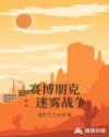 赛博朋克：迷雾战争