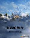 海盗的旅行