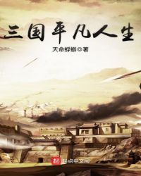 三国平凡人生
