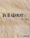 我是福瑞控