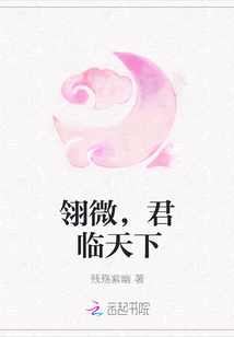 翎微，君临天下章节列表