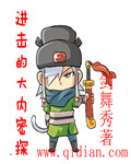 进击的大内密探章节列表