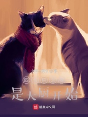 四合院之我是大厨开始章节列表