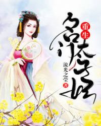 重生名门太子妃章节列表