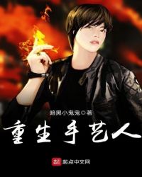 重生手艺人章节列表
