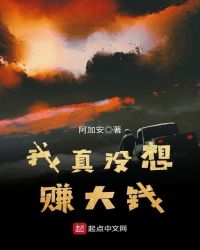 我真没想赚大钱章节列表