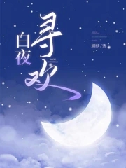 白夜寻欢章节列表