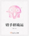 错手招诡运章节列表