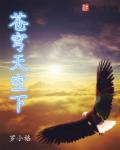 苍穹天空下章节列表
