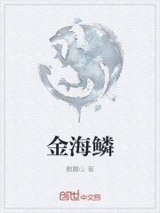 金海鳞章节列表