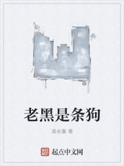 老黑是条狗章节列表