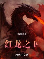 红龙之下章节列表