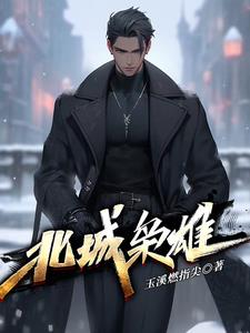 北城枭雄章节列表