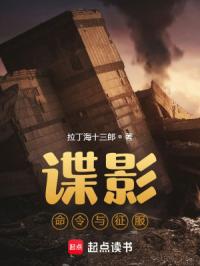 谍影：命令与征服章节列表