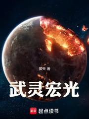 武灵宏光章节列表