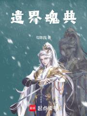 遗界魂典章节列表