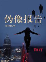 伪像报告章节列表