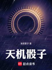 天机骰子章节列表