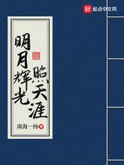 明月辉光照天涯章节列表