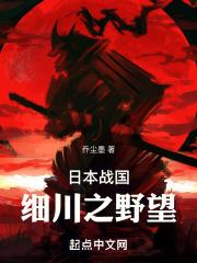 日本战国：细川之野望章节列表