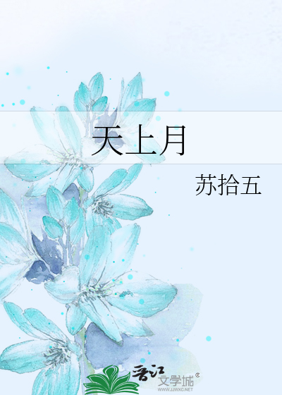 天上月章节列表