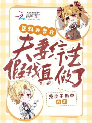 塑料夫妻在夫妻综艺假戏真做了章节列表