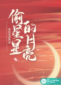 偷星星的月亮章节列表