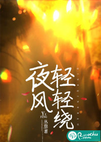夜风轻轻绕章节列表