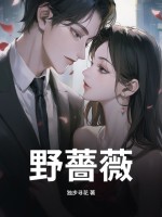 野薔薇章节列表