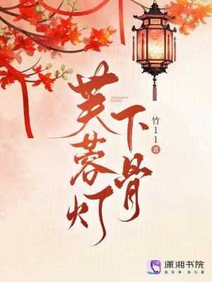 芙蓉灯下骨章节列表