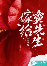 嫁给贺先生章节列表