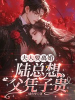 夫人要离婚，陆总想父凭子贵章节列表